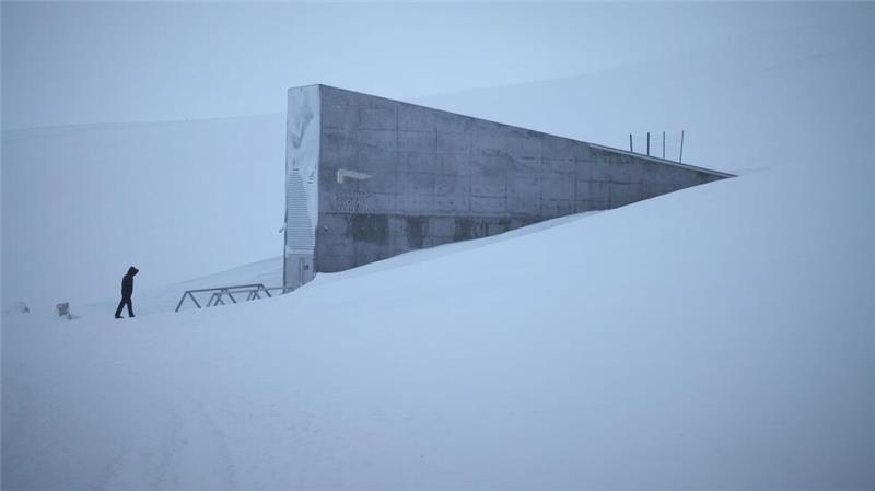 Weltbank für Samen: Spektakulärer Saatgut-Tresor füllt sich Eine schwere Stahltür führt eingebettet in einen spektakulären Betoneingang ins Innere eines schneebedeckten Berges. (Archivbild)