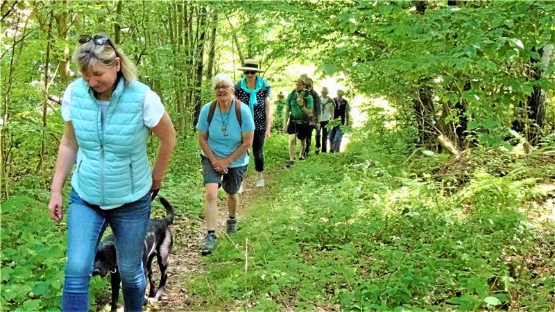 Eine steile, enge Passage müssen die Pilgerwanderer aus dem Neiletal am Ostlutteraner Radberg meistern.