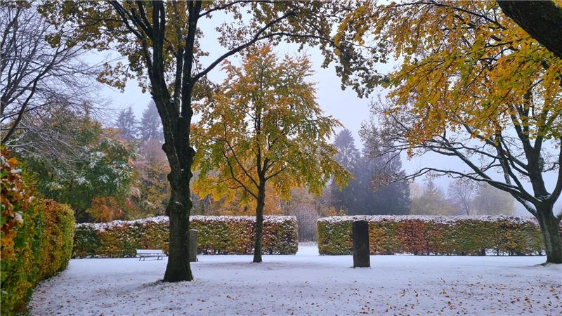 Eine unberührte Schneelandschaft in Clausthal-Zellerfeld.