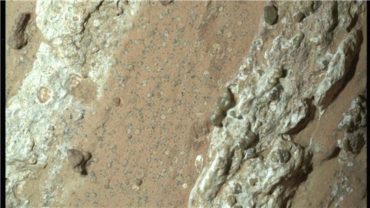 Eine vom Nasa-Rover „Perseverance“ im vergangenen Jahr auf dem Mars entnommene Gesteinsprobe könnte nach Angaben der US-Raumfahrtbehörde möglicherweise Spuren von früherem mikrobiellen Leben enthalten.