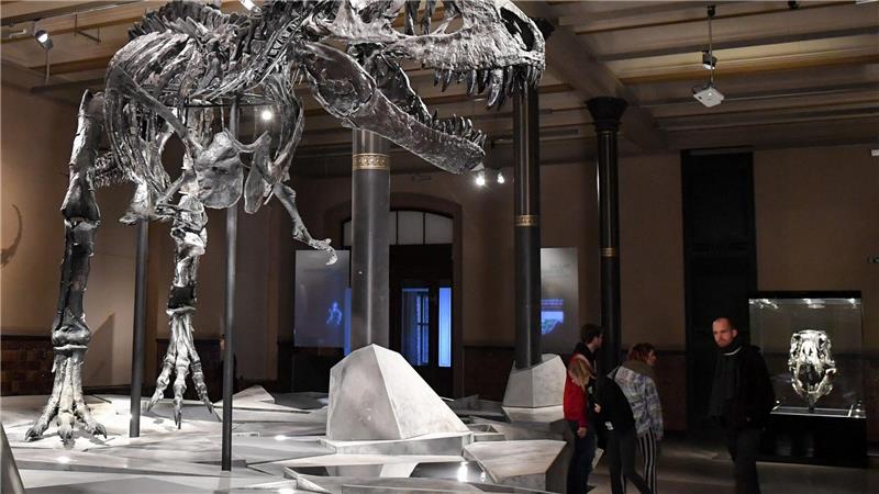 Einen Großteil seines Lebens verbrachte der T. rex wohl damit, mit kleineren Raubtieren um Nahrung zu konkurrieren.