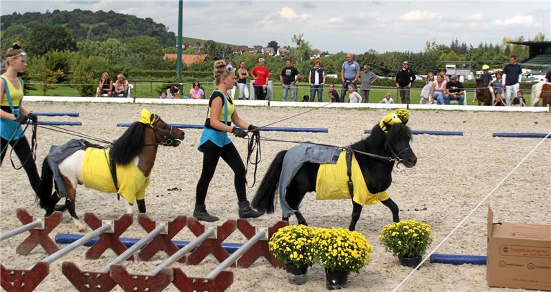 Einen Höhepunkt des Shetland-Pony-Festivals bildeten die Schaubilder. Ein echter Hingucker waren diese beiden Hengste mit ihren Führerinnen.  Foto: Knof