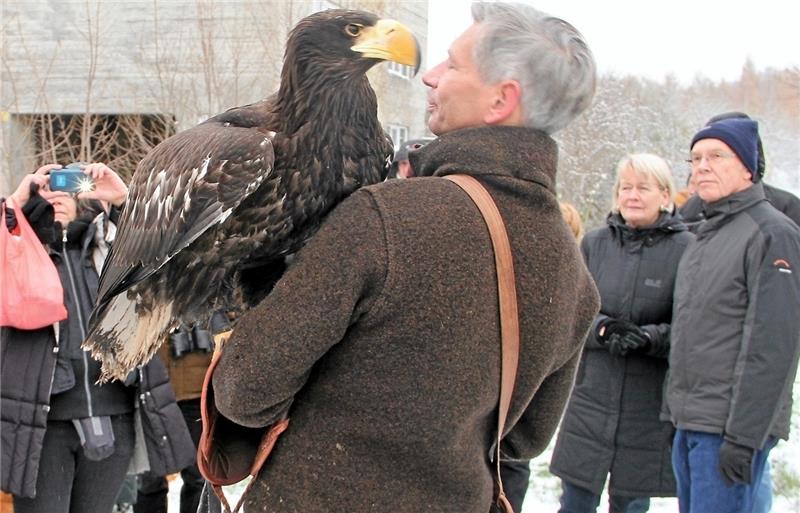 Umweltschützer feiern die Adventszeit auf der Streuobstwiese Einen Riesenseeadler präsentiert Falkner Marcus Rinke beim Adventsmarkt auf der Streuobstwiese Fortuna in Döhren.