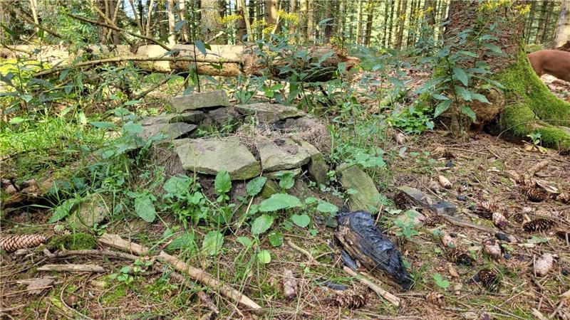Einen selbstgebauten Ofen hat die „Rainbow Family“ im Wald zurückgelassen.