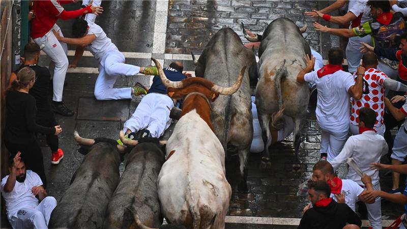 Fünf Verletzte bei Stierlauf in Pamplona Einer der gefährlichen Momente, doch die Bullen springen meist reflexartig über Gestürzte.