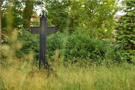 Eingebettet in hohes Gras: Die Grabmale bekannter Persönlichkeiten auf dem Alten Friedhof an der Erzstraße gehören mittlerweile zum Kulturgut. Foto: Neumann