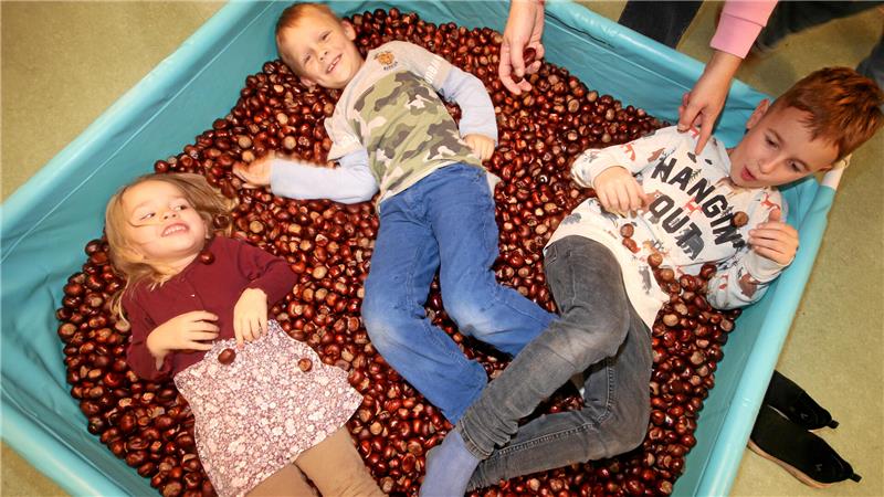 Einige Kinder genießen den Sprung ins Kastanien-Bad.