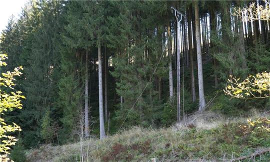 Einige Strommasten bei Schulenberg sind vorübergehend abgeschaltet.