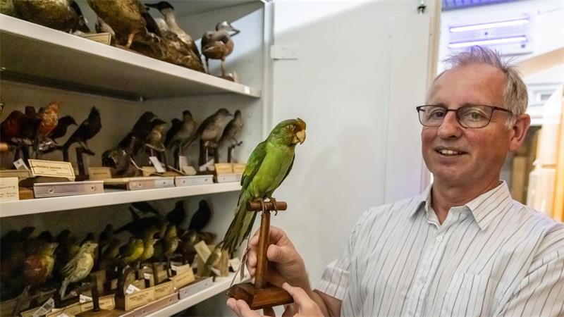 Die ersten und letzten ihrer Art - Kronjuwelen im Museum Einige Tiere der Sammlung - wie der Karolinasittich - sind mittlerweile ausgestorben.