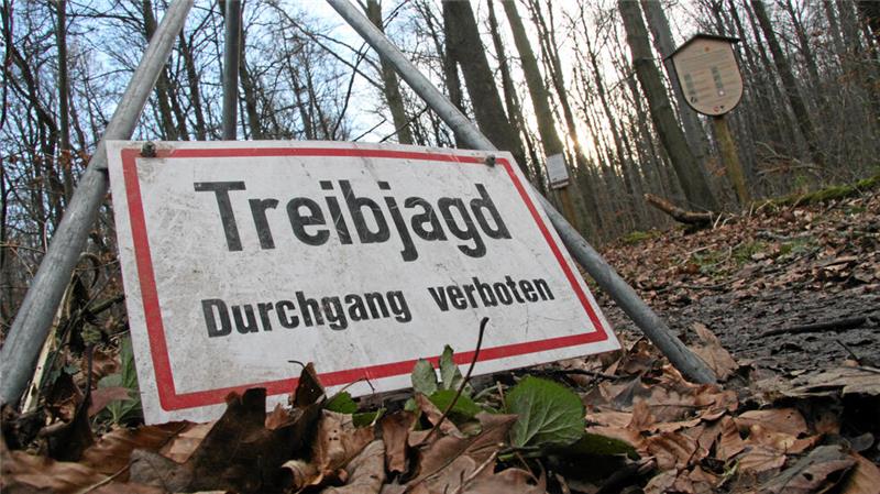 In Eckertal schwärmen am Mittwoch die Jäger aus Einige Waldwege werden wegen der Jagd gesperrt sein.