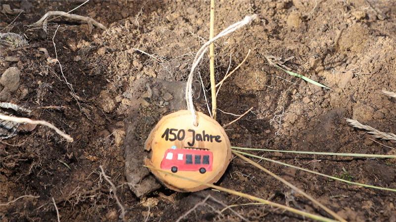 Pflanzaktion im Harz zum Langelsheimer Feuerwehr-Jubiläum Einige der Lärchen dekorierten die Mitglieder der Jugendfeuerwehren mit einer Holzmedaille zur Erinnerung.