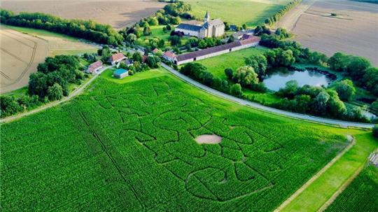 Einladung zum Verlaufen: Das Grauhofer Maislabyrinth ist ab dem 9. August geöffnet.