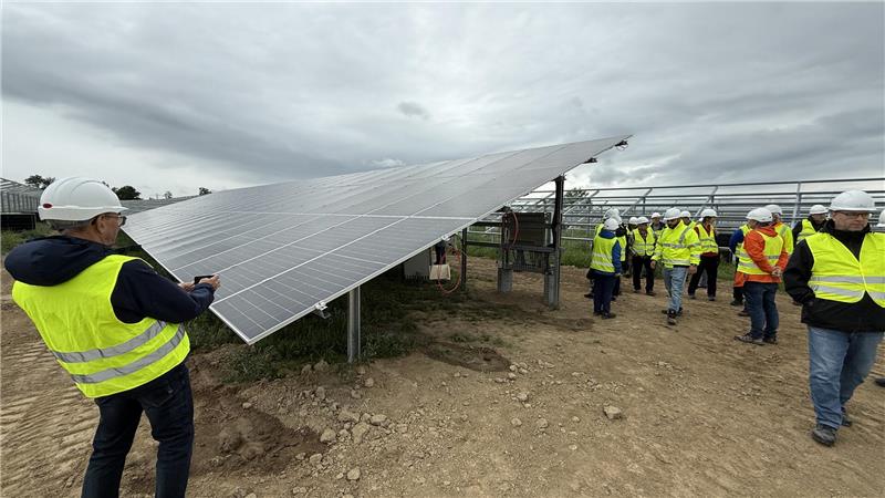 Mehrere Menschen in Sicherheitswesten schauen sich Solarmodule an.