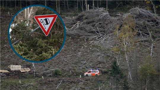 Einsatz nach einem tödlichen Unglück am Donnerstag oberhalb des Maltermeister Turms in Goslar. Eine Wanderin stirbt, nachdem ein Baum auf sie gestürzt war. Fotos: Epping/Archiv