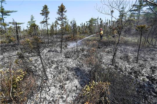 Einsatzkräfte bei Löscharbeiten in einem Waldgebiet in Kanada.