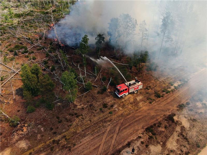 Einsatzkräfte der Feuerwehr bekämpfen in einem Waldstück nahe Jüterbog das Feuer.
