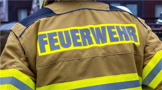 Einsatzkräfte der Feuerwehr brachten die verletzte Schildkröte in eine Klinik. (Symbolbild)