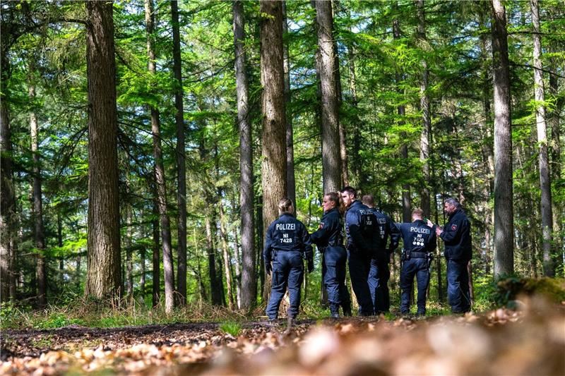 Einsatzkräfte durchsuchen ein Waldstück.