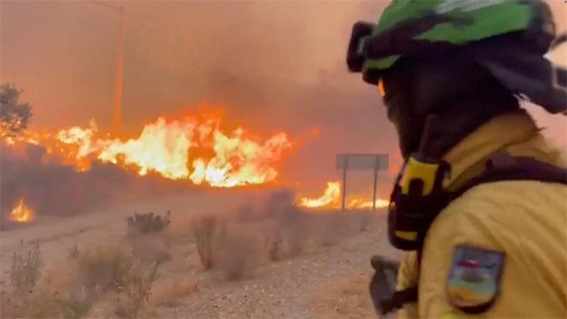 Viele Tote bei Waldbrand in Andalusien - „Schreckensnacht“ Einsatzkräfte kämpfen verzweifelt.