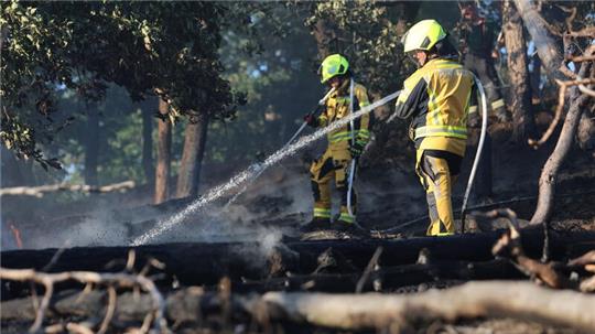 Einsatzkräfte löschen den Waldbrand bei Thale. Foto: dpa