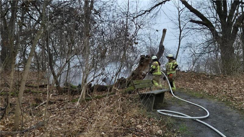 Einsatzkräfte löschen einen brennenden Baumstumpf.