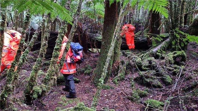 Einsatzkräfte suchten 2023 die dichten Wälder Tasmaniens nach der 31-Jährigen ab. (Archivbild)