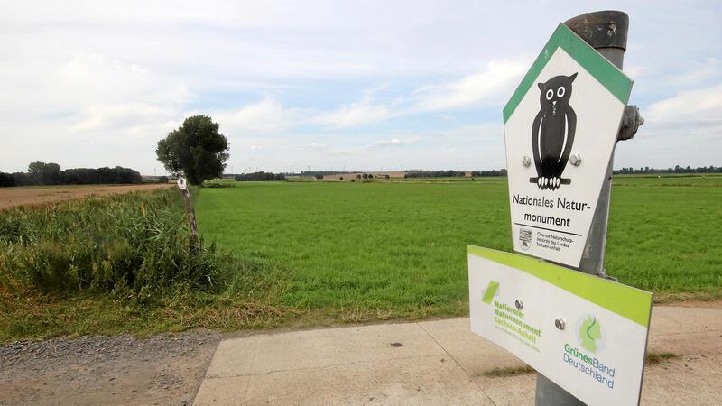 Einst teilte der Eiserne Vorhang das Große Bruch – heute gehören Teile von ihm in Sachsen-Anhalt zum Nationalen Naturmonument.