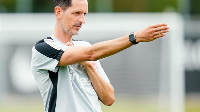 Eintracht hofft in Europa auf magische Nächte Eintracht Frankfurts Trainer Dino Toppmöller hofft auf einen guten Start in die Europa League.