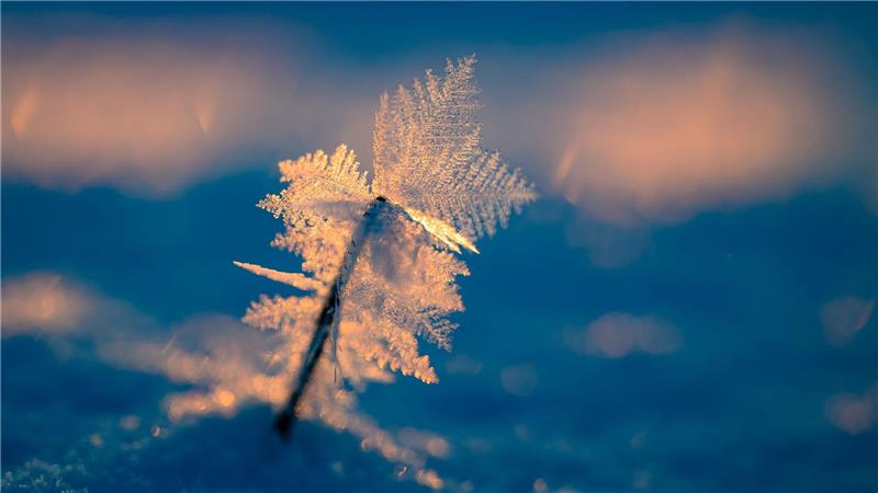 Eisige Temperaturen können für Menschen ohne Wohnung lebensgefährlich sein. 