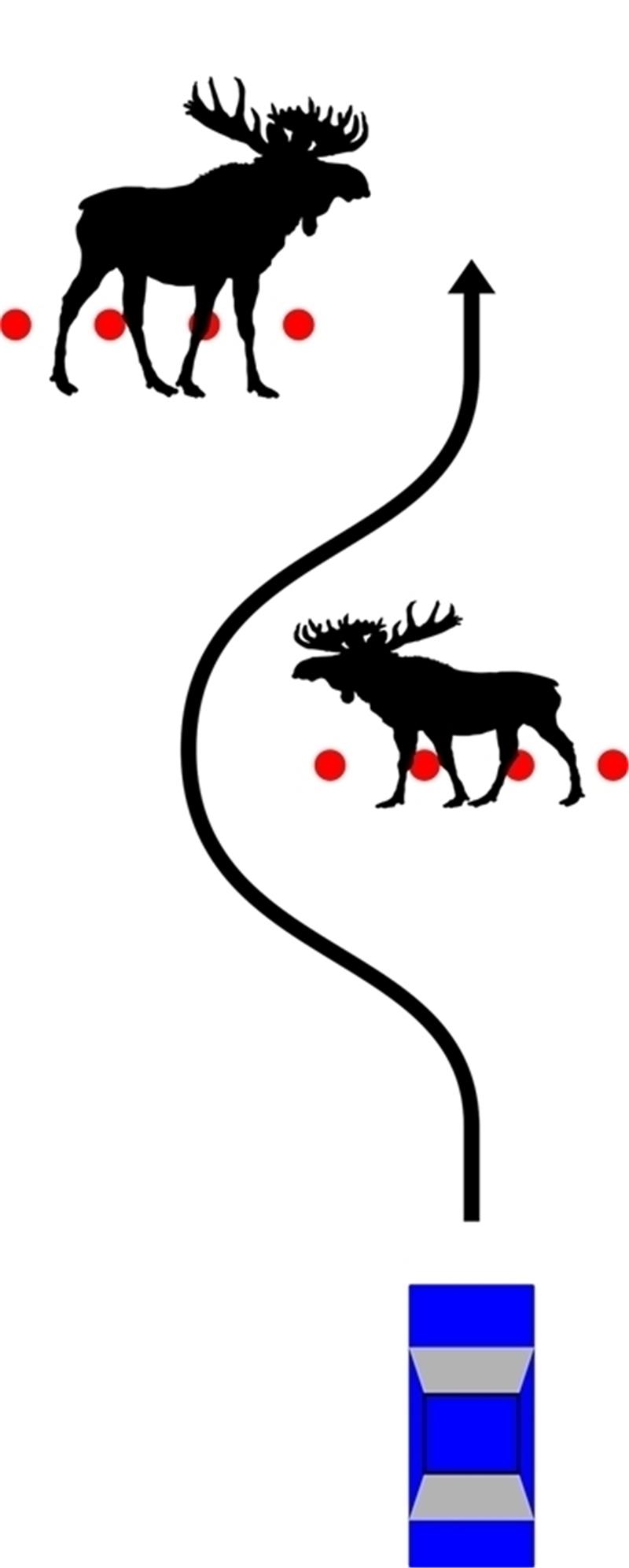 Elchtest symbolisch dargestellt. Foto: Wkipedia