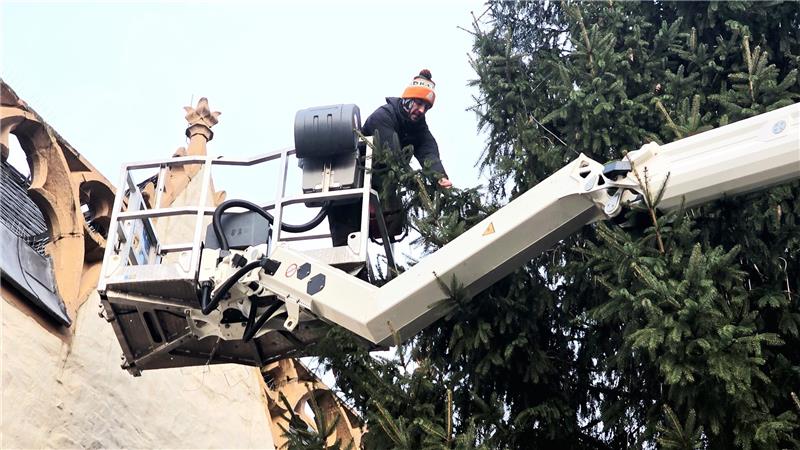 Goslars Adventsstadt nimmt Gestalt an: Alles Wichtige zum Aufbau Der Elektriker bringt die Baumbeleuchtung an.