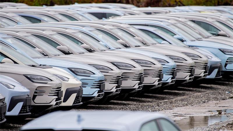 Elektroautos von BYD. Die chinesische Autoindustrie setzt der europäischen Industrie mit ihrer Exportoffensive zu. (Symbolbild)