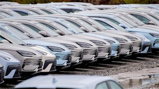 Elektroautos von BYD. Die chinesische Autoindustrie setzt der europäischen Industrie mit ihrer Exportoffensive zu. (Symbolbild)