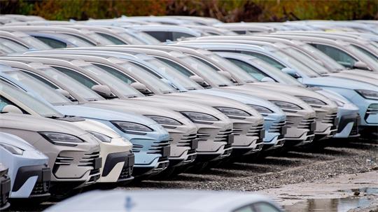Elektrofahrzeuge von BYD stehen im Hafengebiet von Wilhelmshaven. Chinesische Hersteller drängen weiter auf den EU-Automarkt. (Archivbild)