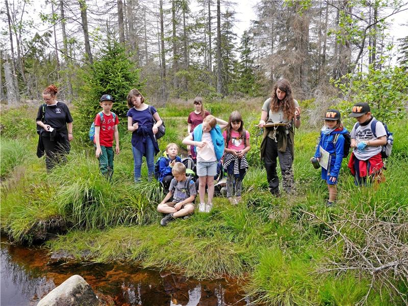Elf Nachwuchsforscher beteiligen sich an der Ferienpassaktion des Kinderschutzbundes und des Nationalparks Harz.  Fotos: Privat