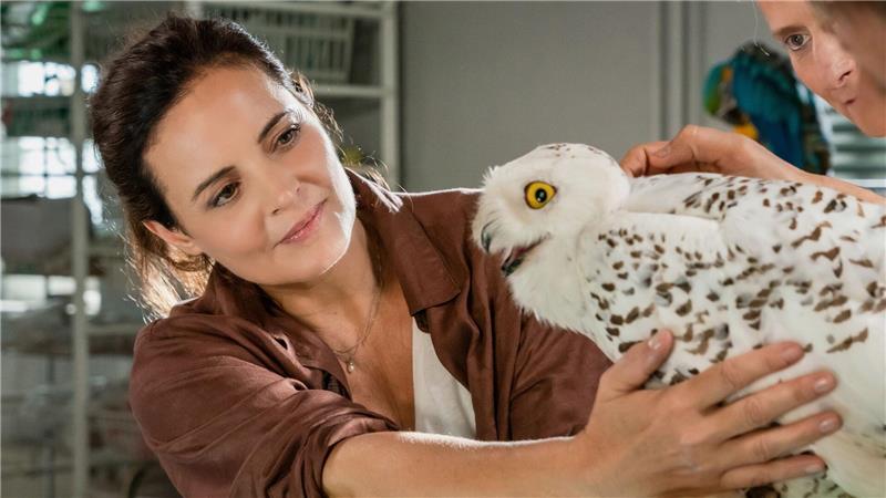 Elisabeth Lanz spielt schon seit 2006 die Tierärztin Dr. Susanne Mertens für die ARD. (Archivbild)