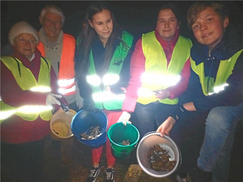 Naturfreund organisiert Krötenrettung in Ostlutter Ellen Krell, Jürgen Ehrenpfordt, Lilly und Lynn Copei und Henry Tiedemann (v. li.) sammeln Kröten, die über die L 500 kriechen, ein. Foto: Biener