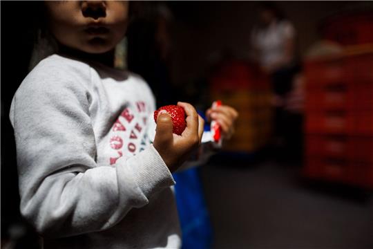 Ende August sollen Einzelheiten der geplanten Kindergrundsicherung vorliegen.