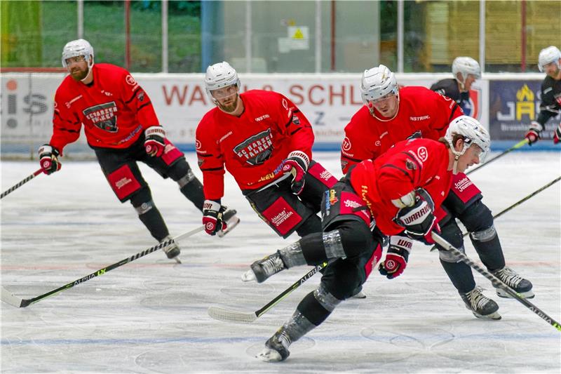 Bei den Harzer Falken fließt wieder der Schweiß Endlich wieder Eiskontakt: Nico Ehmann (vorn) sowie Ruven Bannach, Petr Chaloupka und Regan Nagy (v. li.) schwingen sich für die kommende Saison in der Regionalliga ein. Foto: Drechsler