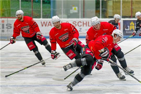 Endlich wieder Eiskontakt: Nico Ehmann (vorn) sowie Ruven Bannach, Petr Chaloupka und Regan Nagy (v. li.) schwingen sich für die kommende Saison in der Regionalliga ein. Foto: Drechsler
