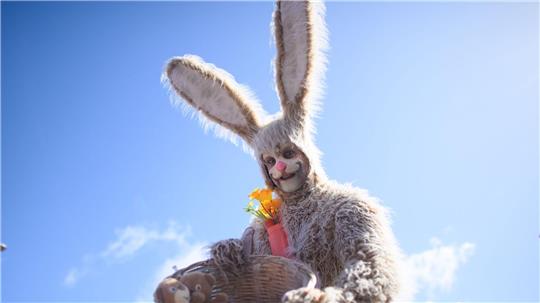 Enrico Lein ist vor Ostern als Hase im Dauereinsatz.