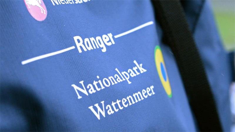 Wachen Nationalpark-Ranger bald auch auf der Nordsee? Entlang der deutschen Wattenmeerküste gibt es bislang rund 30 hauptamtliche Rangerinnen und Ranger. (Archivbild)