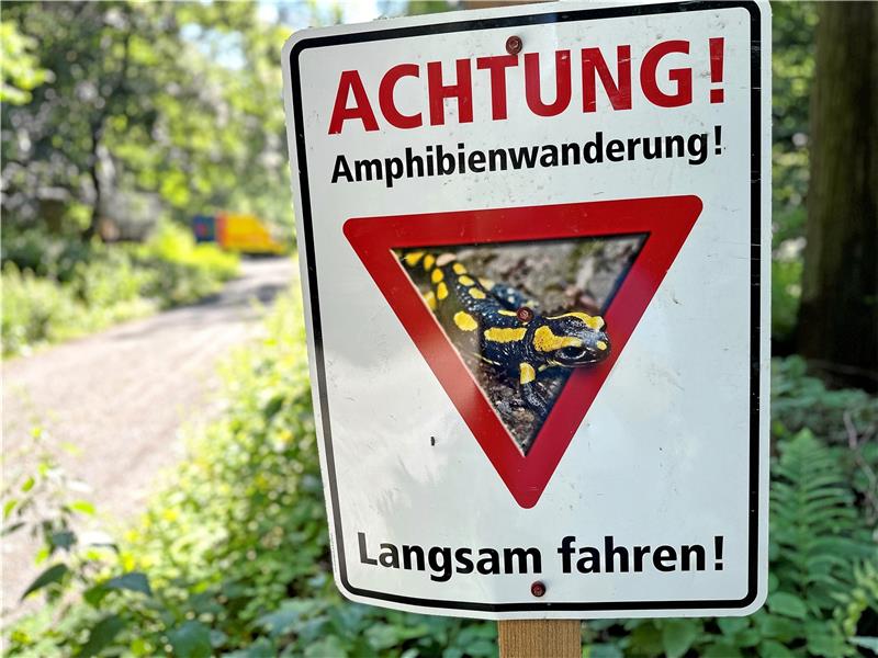 Kaltes Tal in Harzburg: Schranke steht jetzt – aber offen Entlang des Wegs durchs Kalte Tal stehen bereits Schilder, die auf die wandernden Amphibien hinweisen und zur Vorsicht ermahnen sollen.