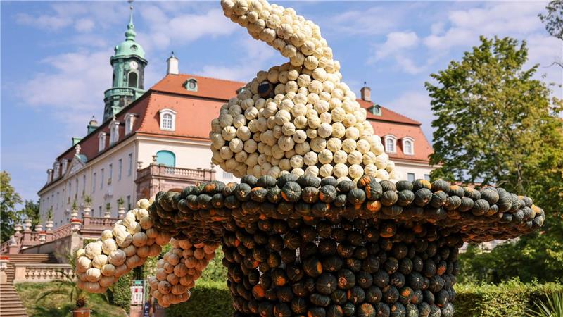 Kürbisfest in Sachsen lockt mit vier Meter hohen Skulpturen Entstanden sind bis zu vier Meter hohe Figuren.