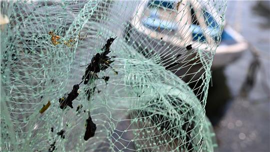 Erdölrückstände haben die Ausrüstung der Fischer verschmutzt, darunter Netze.