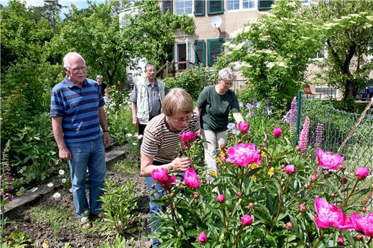 Erfahrungsaustausch vor Ort, so wie in diesem Bauerngarten, das soll der Tag der offenen Gartenpforte bieten.  Archivfoto: Kühlewind