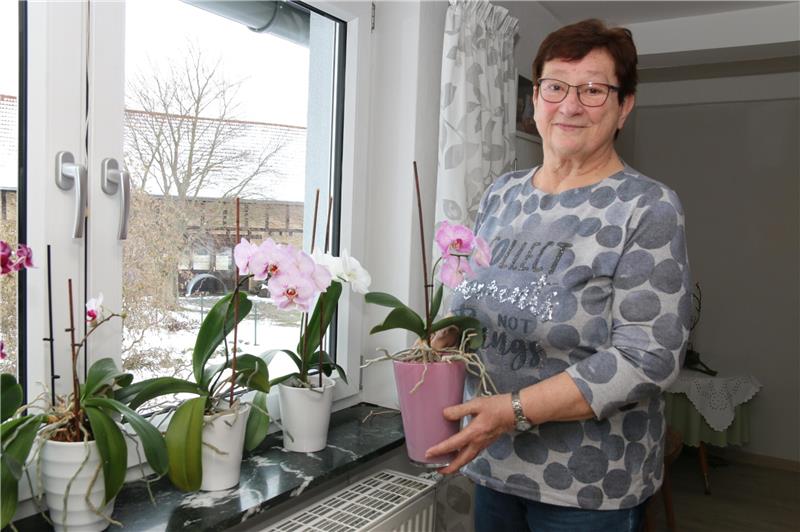 Bredelem: Erika Brunke verabschiedet sich aus dem Kirchendienst Erika Brunke liebt Orchidee. Und den Blick aus ihrem Fenster, denn von dort kann sie zumindest die Turmspitze "ihrer" Kirche sehen.