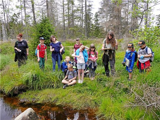 Erlebnisintensive Freizeitaktivität aus dem Vorjahr: Elf Nachwuchsforscher beteiligen sich an der Ferienpassaktion des Kinderschutzbundes und des Nationalparks Harz.  Foto: GZ-Archiv