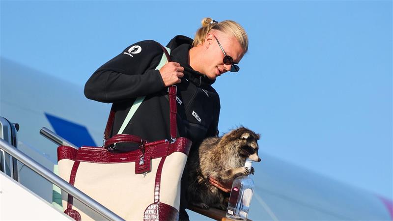 Erling Haaland und sein Waschbär.