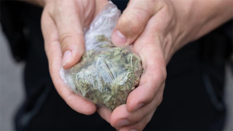 Drogen im Wert von zwölf Millionen Euro im Hafen entdeckt Ermittler beschlagnahmten mehr als 1,2 Tonnen Cannabis. (Symbolbild)